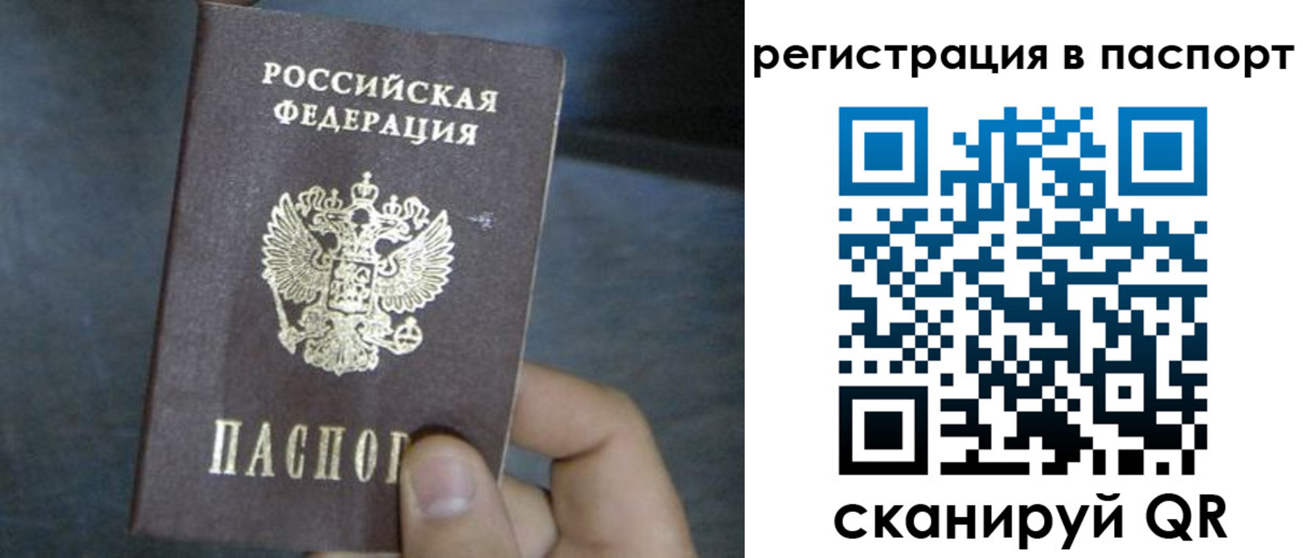 прописка 2025 в Пущино